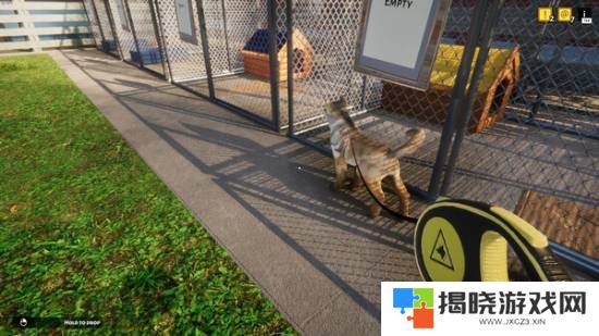 本站