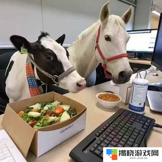 本站