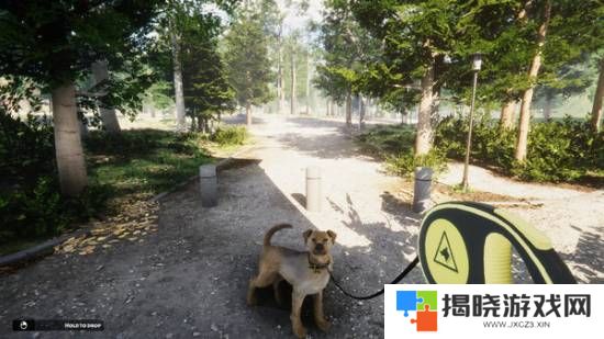 本站