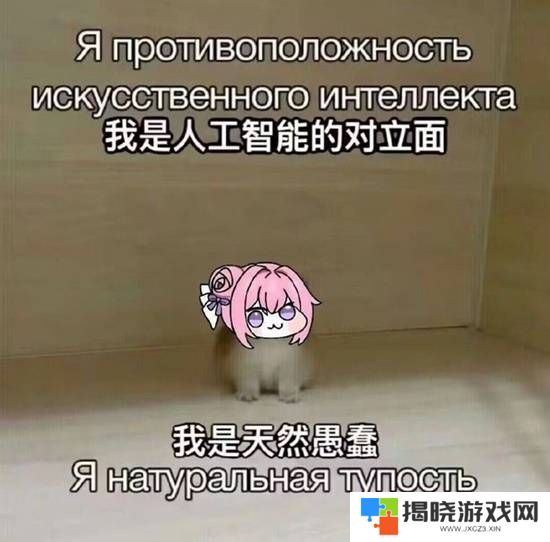 本站