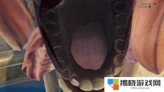 本站