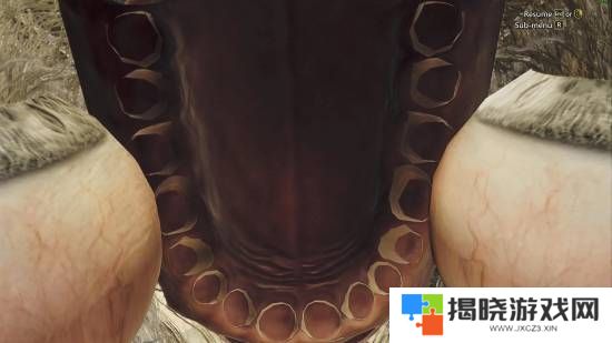 本站