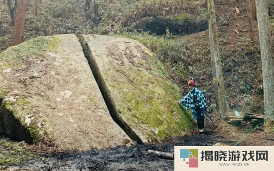 本站